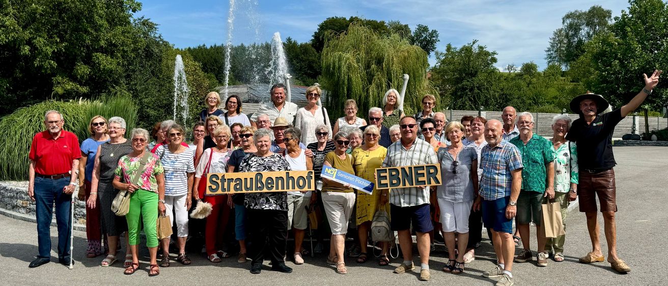 Bild enthält, Grass, Park, People, Person, Fountain, Water, Tree, Jeans, Portrait, Shorts