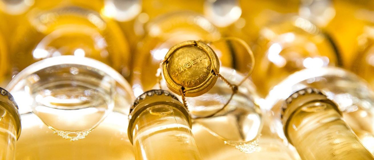 v1_migrated_image_32886252