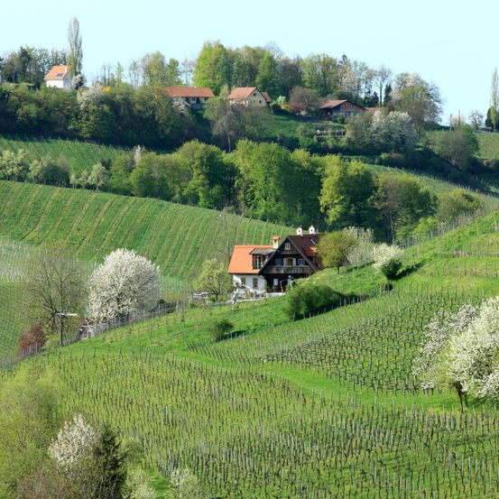 Bild enthält, Nature, Outdoors, Countryside, Rural, Farm, Field, Train
