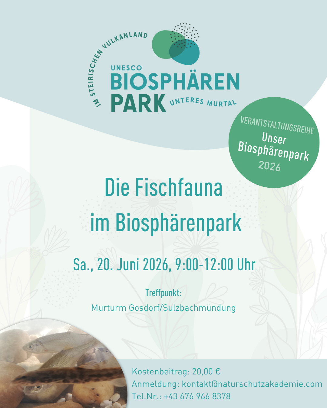 Event poster for UNESCO Biosphere Park event in 2026. The event is titled 'The Fish Fauna in Biosphere Park'. It is scheduled for June 20, 2026, from 9:00 to 12:00. The meeting point is Murturm Gosdorf/Sulzbächmündung. A picture of fish is shown in the poster.