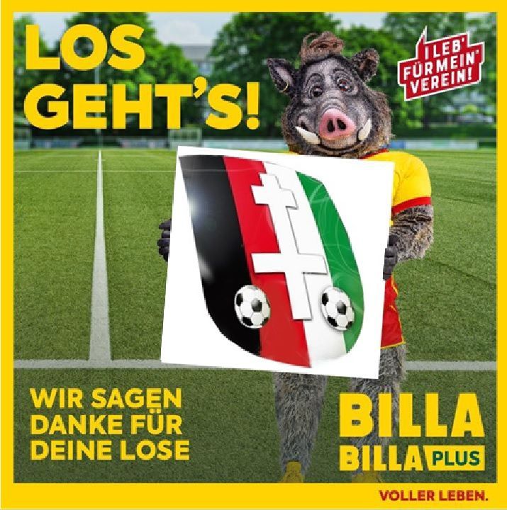 A pig in a yellow and red costume holds a sign with a soccer ball on it. The text on the sign says 'Los Geht's!' and 'Wir Sagen Danke Fuer Deine Lose.' The image has a yellow border.