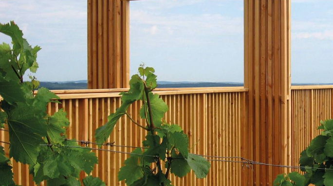 v1_migrated_image_76997356