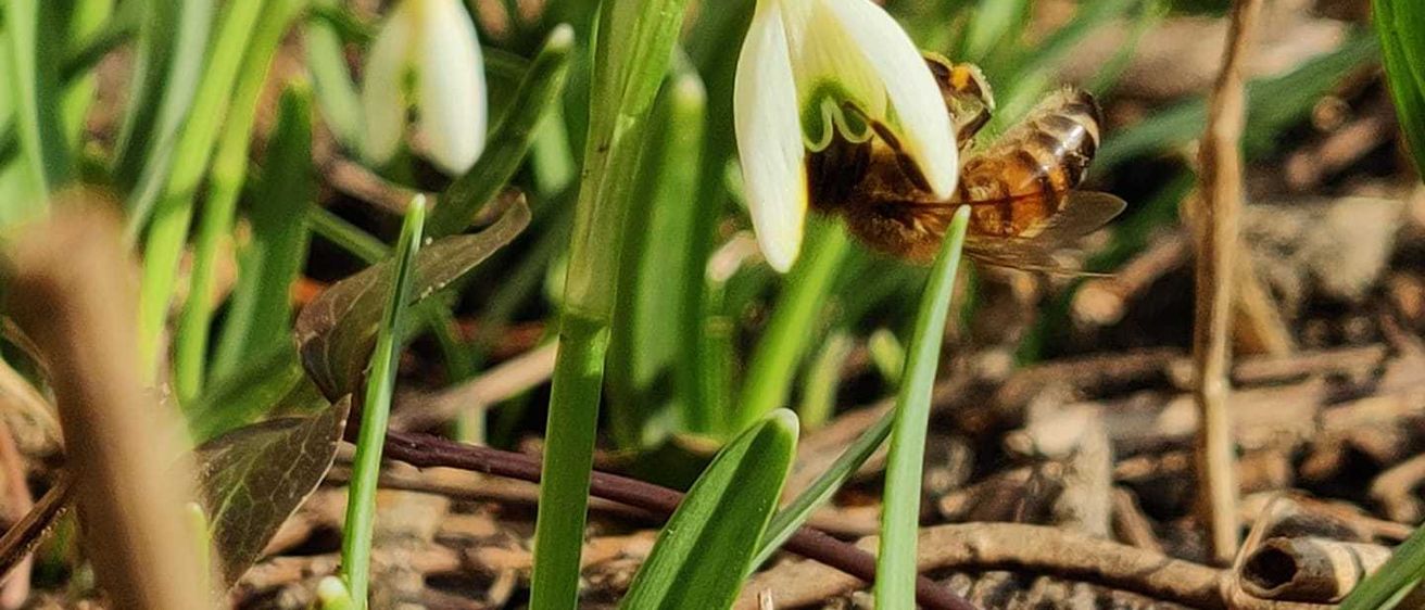 170004875_223097542939764_8263442984312368760_n