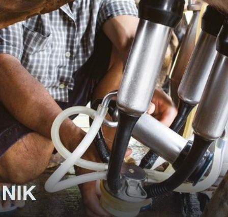 Eine Person kniet auf dem Boden und hält eine Melkmaschine, die mit einer Kuh verbunden ist. Die Kuh steht auf dem Boden, und die Person trägt ein kariertes Hemd und Shorts. Die Melkmaschine hat einen Schlauch, der daran angeschlossen ist. Das Wort 'LKTECHNIK' steht auf dem Boden.