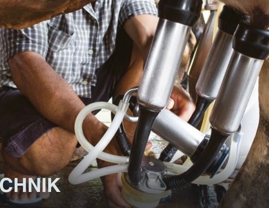 Eine Person kniet auf dem Boden und hält eine Melkmaschine, die mit einer Kuh verbunden ist. Die Kuh steht auf dem Boden, und die Person trägt ein kariertes Hemd und Shorts. Die Melkmaschine hat einen Schlauch, der daran angeschlossen ist. Das Wort 'LKTECHNIK' steht auf dem Boden.