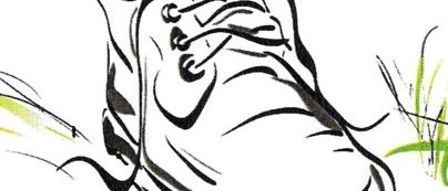 Bild enthält, Clothing, Footwear, Shoe, Art, Plant, Sneaker, Drawing