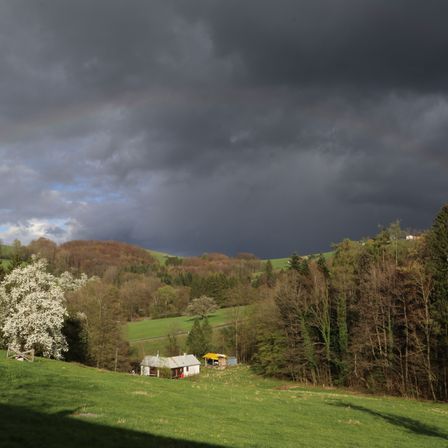 Bild enthält, Nature, Outdoors, Grass, Sky, Field, Grassland, Tree, Fir, Rainbow, Meadow