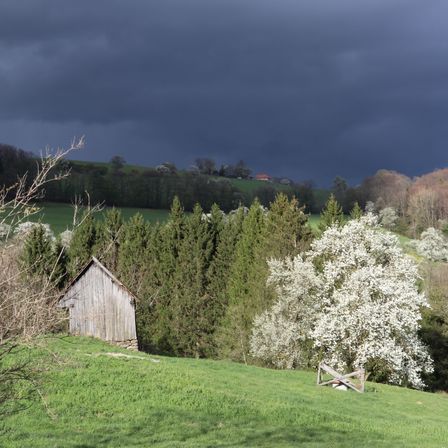 Bild enthält, Countryside, Hut, Nature, Outdoors, Rural, Shelter, Shack, Tree, Grass, Housing
