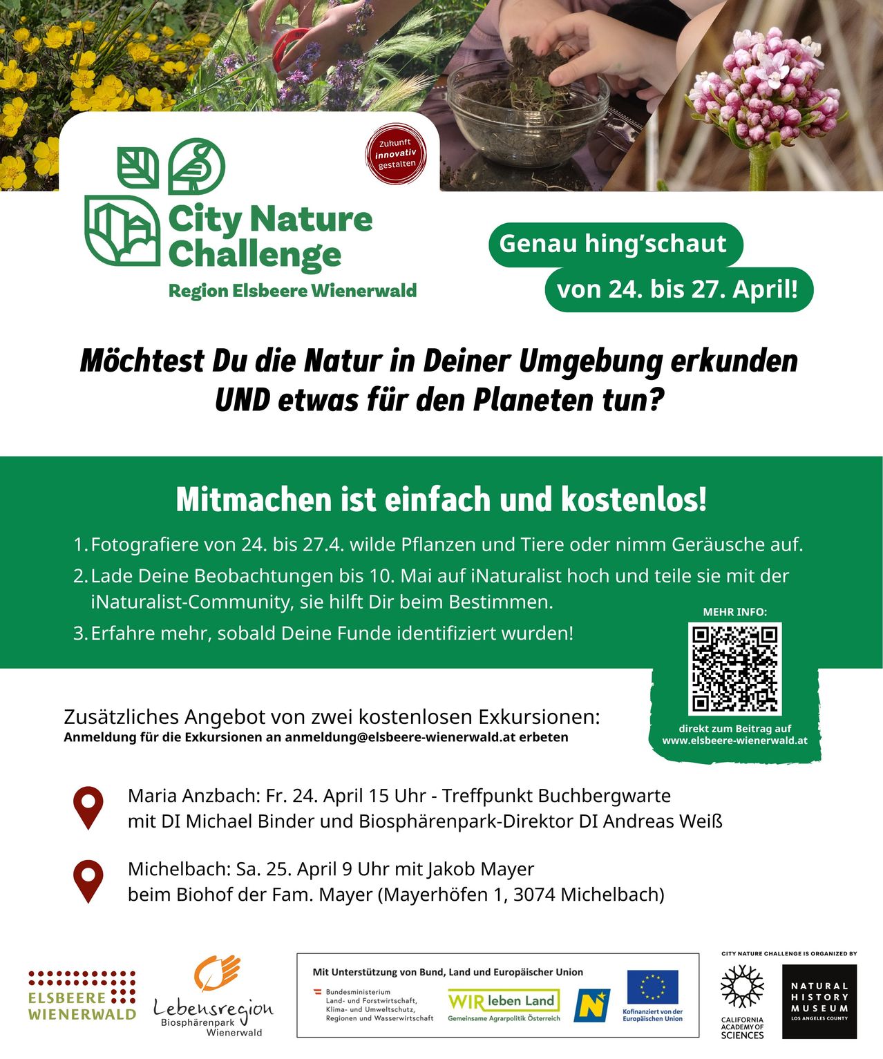 Plakat für City Nature Challenge, eine Veranstaltung in der Region Elsbeere-Wienerwald vom 24. bis 27. April. Teilnehmer werden ermutigt, Wildtiere zu fotografieren und Geräusche in ihrer Umgebung aufzuzeichnen, diese bis zum 10. Mai auf iNaturalist hochzuladen und ihre Entdeckungen zu teilen. Zwei kostenlose geführte Touren werden angeboten. Anmeldelink wird bereitgestellt.