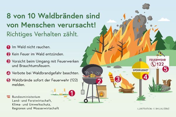 Eine Infografik zeigt die Ursachen von Waldbränden und Sicherheitstipps. 8 von 10 Waldbränden werden durch Menschen verursacht. Tipps umfassen kein Rauchen im Wald und Vorsicht beim Umgang mit Feuerwerk.
