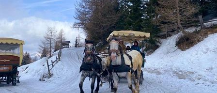 Zwei Pferde ziehen eine Kutsche auf einer verschneiten Straße, in der Menschen sitzen, umgeben von Kiefernbäumen unter einem teilweise bewölkten Himmel.