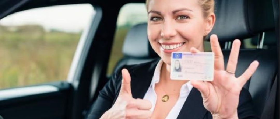Bild enthält, Text, Document, Driving License, Id Cards