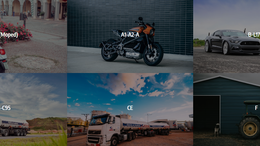 v1_migrated_image_42263685