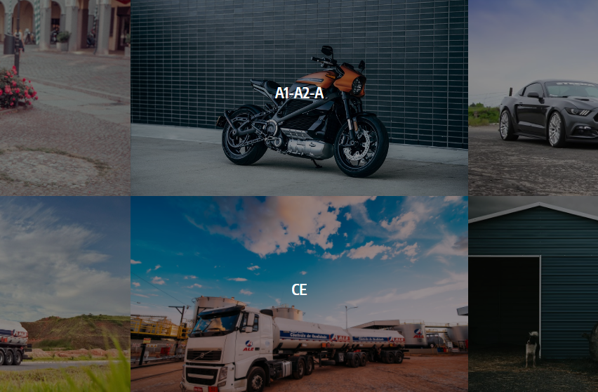 v1_migrated_image_42263685