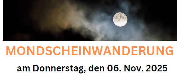 Ein Plakat kündigt eine Vollmondwanderung am Donnerstag, den 6. November 2025 an. Die Wanderung findet unabhängig vom Wetter statt (außer bei starkem Regen). Treffpunkt: 17:00 Uhr im Gemeindeamt. Dauer: 2-3 Stunden. Ende im Hof des Gemeindeamtes! Gesundes Dorf Mörbisch am See. Gemeinsam gesund bleiben!