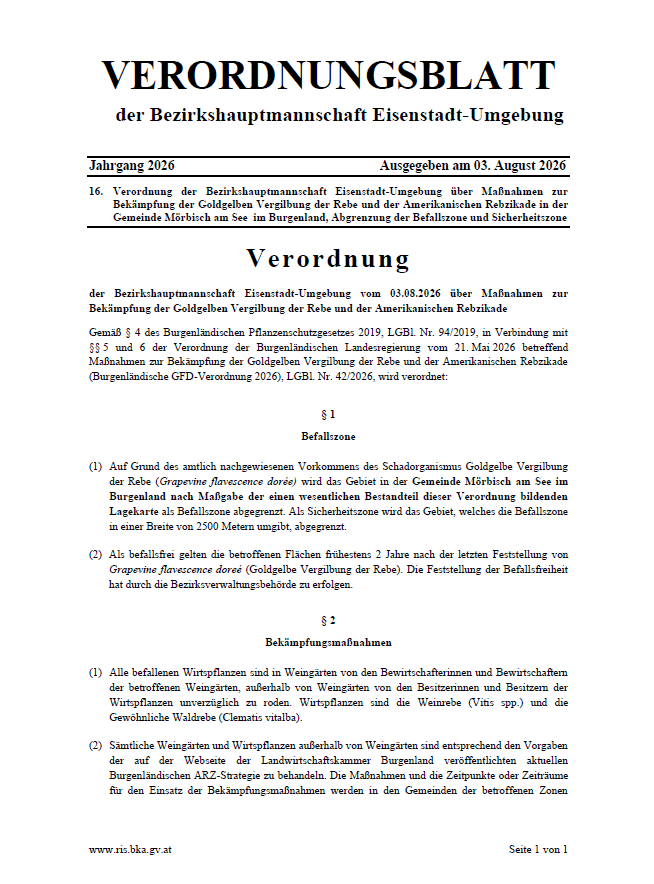 Ein offizielles Dokument der Bezirkshauptmannschaft Eisenstadt-Umgebung vom 03. August 2026 beschreibt Maßnahmen zur Bekämpfung der Goldgelben Vergilbung der Rebe und der Amerikanischen Reblaus in der Gemeinde Mörbisch am See in Burgenland, einschließlich Anpassungen der Befallszone und Sicherheitszone.