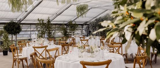 Eine Outdoor-Hochzeitsfeier mit Holzstühlen und weißen Tischdecken. Der Veranstaltungsort ist mit einem weißen Zelt bedeckt und gefüllt mit grünen Pflanzen.