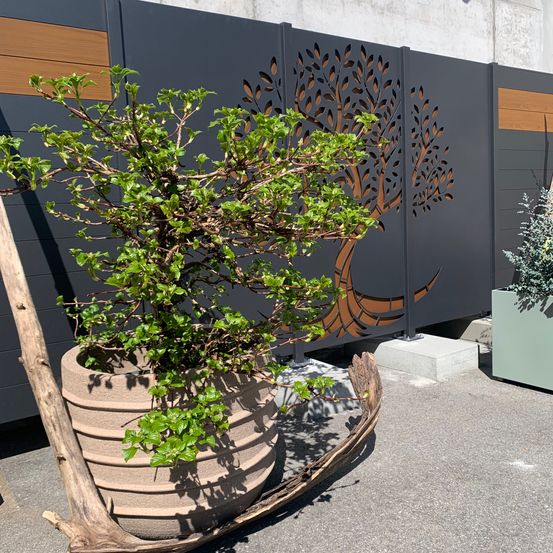 A tree design is carved into a black fence with a potted plant in front of it. A wooden stick is placed beside the plant. Another potted plant is on the right.