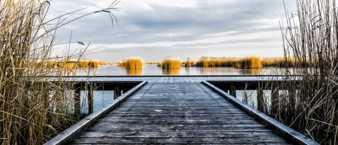 v1_migrated_image_15370607