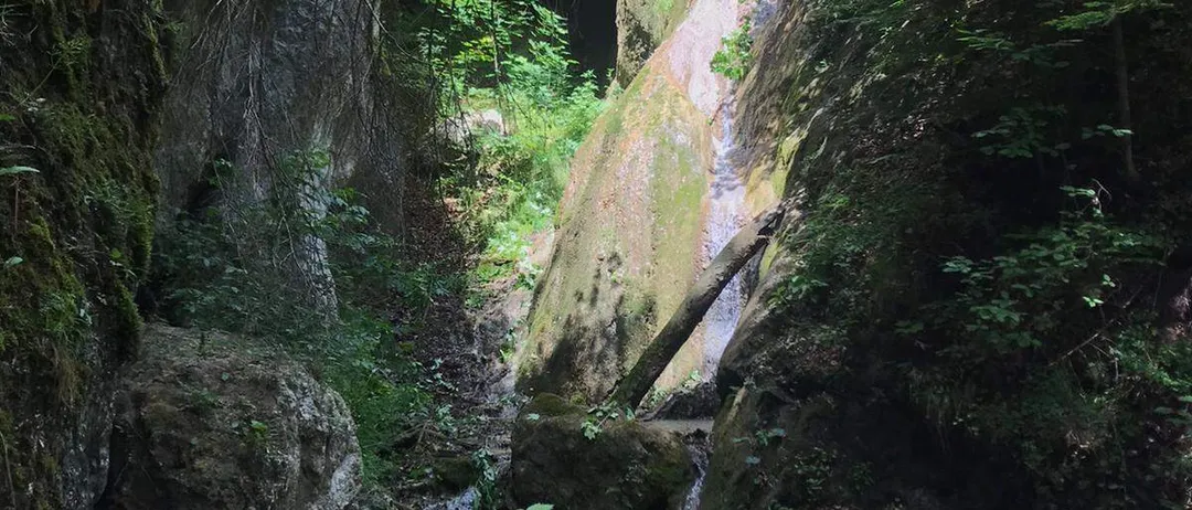 Ein Wasserfall stürzt von einem felsigen Abhang herab, umgeben von üppiger Vegetation, mit einem hölzernen Geländer in der Nähe.