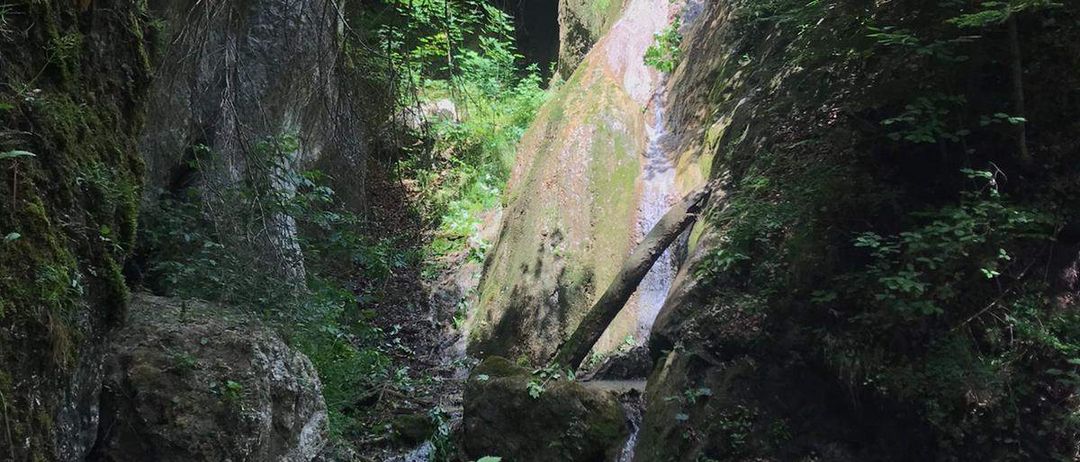 Ein Wasserfall stürzt von einem felsigen Abhang herab, umgeben von üppiger Vegetation, mit einem hölzernen Geländer in der Nähe.