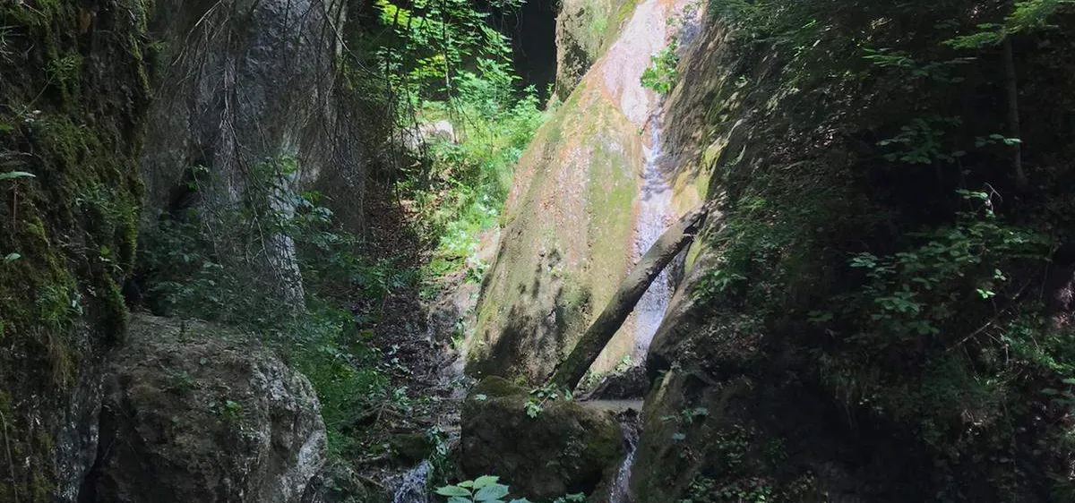 Ein Wasserfall stürzt von einem felsigen Abhang herab, umgeben von üppiger Vegetation, mit einem hölzernen Geländer in der Nähe.