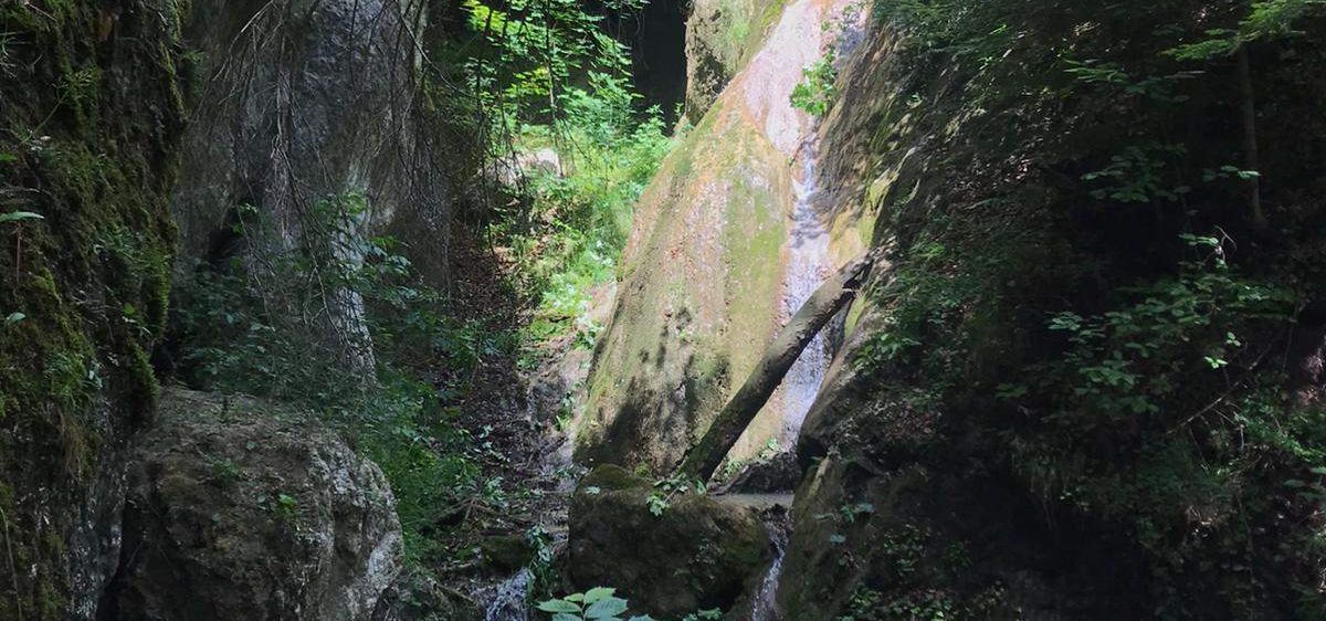 Ein Wasserfall stürzt von einem felsigen Abhang herab, umgeben von üppiger Vegetation, mit einem hölzernen Geländer in der Nähe.