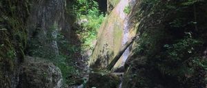 Ein Wasserfall stürzt von einem felsigen Abhang herab, umgeben von üppiger Vegetation, mit einem hölzernen Geländer in der Nähe.
