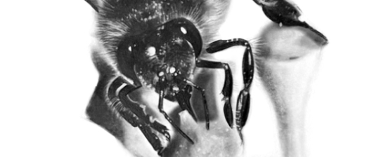 Das Bild zeigt eine Einladung zur Eröffnung einer Ausstellung von Johanna Lehner-Ariz. Die Veranstaltung ist für den 6. Februar 2026 um 19 Uhr geplant. Der Veranstaltungsort ist das Gauermann Museum in Miesenbach-Scheuenstein.