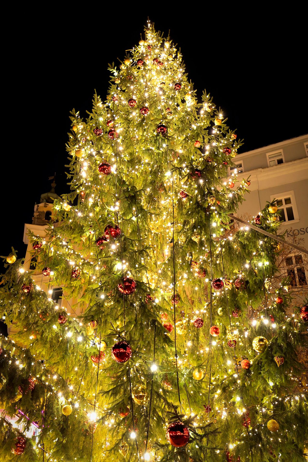 Ein großer Weihnachtsbaum ist nachts vor einem Gebäude beleuchtet. Der Baum ist mit roten und goldenen Ornamenten und Lichtern geschmückt.