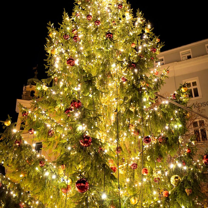 Ein großer Weihnachtsbaum ist nachts vor einem Gebäude beleuchtet. Der Baum ist mit roten und goldenen Ornamenten und Lichtern geschmückt.