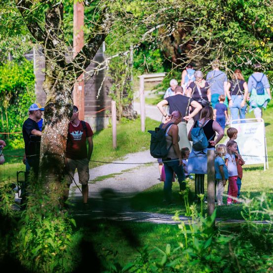 Eine Gruppe von Menschen geht auf einem Pfad in einem Park, einige tragen Rucksäcke und Mützen. Der Weg ist von Gras und Bäumen umgeben.