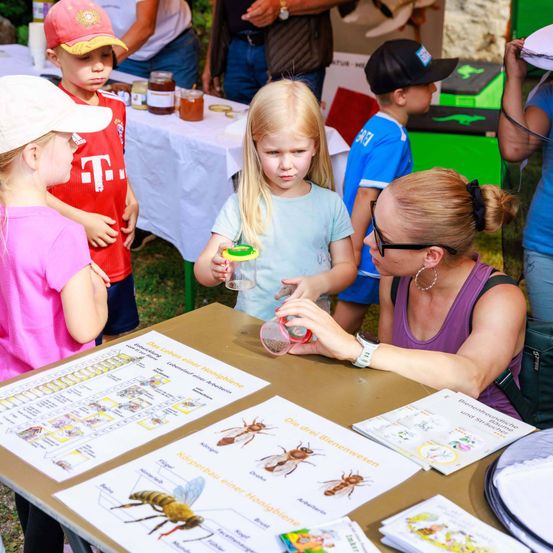 Kinder und Erwachsene sind um einen Tisch mit Lehrmaterialien über Bienen versammelt, wahrscheinlich bei einer Veranstaltung oder einem Jahrmarkt. Ein Kind hält ein Glas mit einer Biene darin.