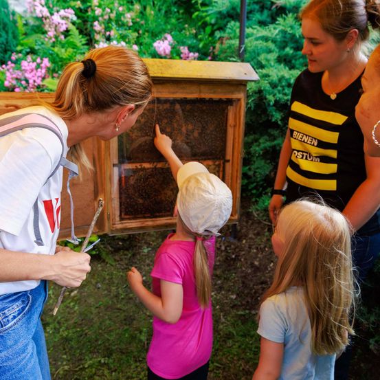 Eine Frau und zwei Kinder beobachten Bienen in einer Holzkiste im Garten. Die Frau hält einen Stock, während ein Kind auf die Bienen zeigt.
