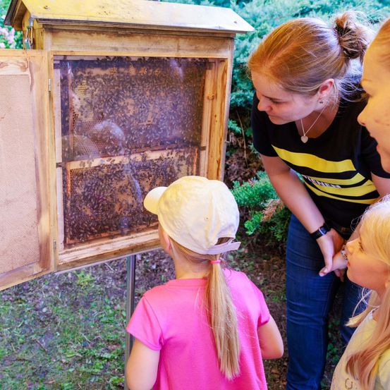 Eine Frau und zwei Kinder betrachten einen Bienenstock. Die Frau trägt ein schwarz-gelbes Shirt. Die Kinder tragen rosa und weiße Mützen.