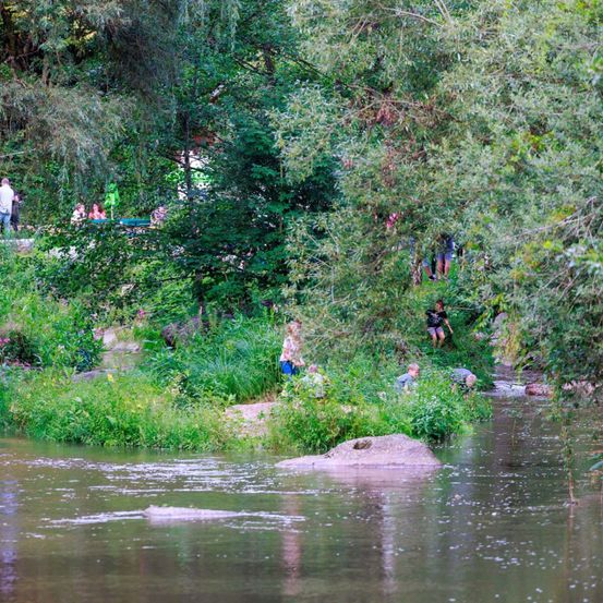 Eine Gruppe von Kindern und Erwachsenen spielt in einem von Grün und Bäumen umgebenen Fluss, wobei einige auf Felsen klettern und andere am Flussufer stehen.
