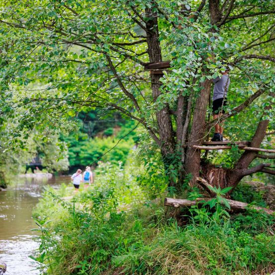 Eine Person klettert eine Holzleiter in einem Baum am Fluss hinauf. Zwei Personen gehen am Flussufer entlang. Die Umgebung ist üppig und grün.