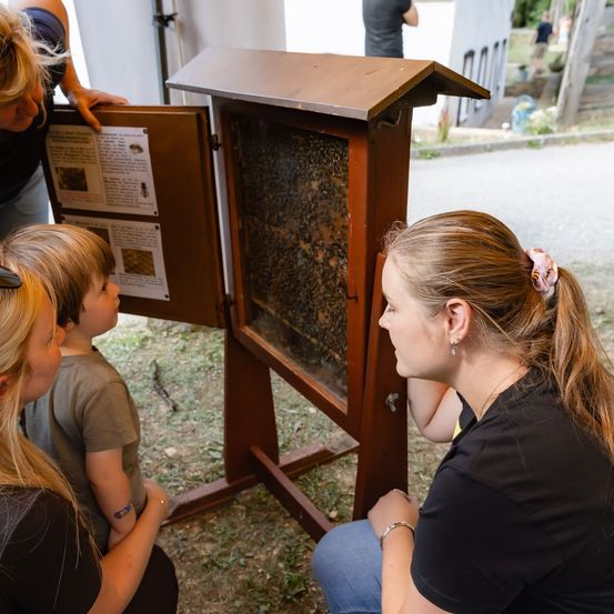 Eine Frau und ein kleiner Junge beobachten eine Biene durch ein Glasfenster. Eine weitere Frau und ein Mädchen schauen ebenfalls auf das Bienenhaus.