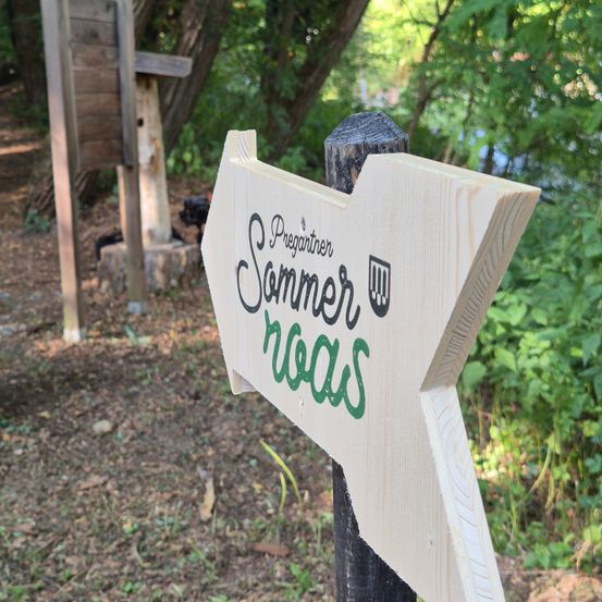 Ein hölzernes Pfeilschild mit dem Text 'Vorbereitung Sommercamp' in schwarzen und grünen Buchstaben steht in einem Waldgebiet.