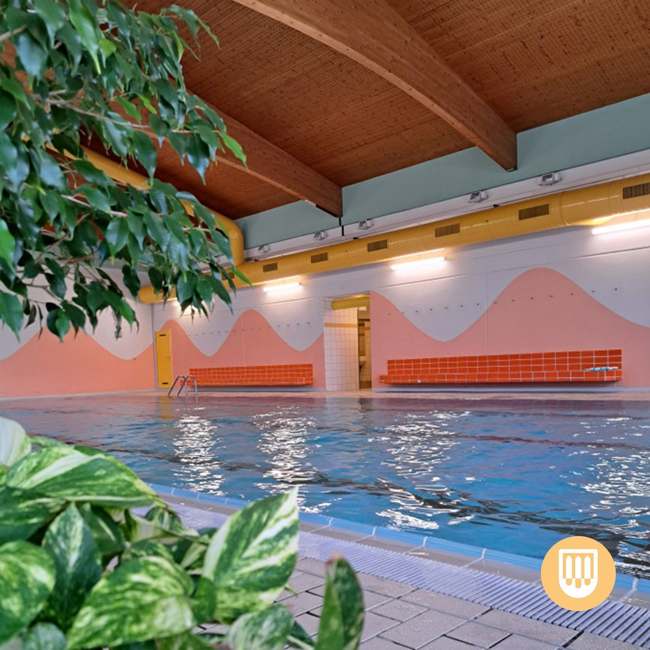 Ein Hallenschwimmbad mit Holzdecke, orange und weiß gestrichenen Wänden und einer Pflanze im Vordergrund. Zwei Bänke säumen die Seiten des Beckens.