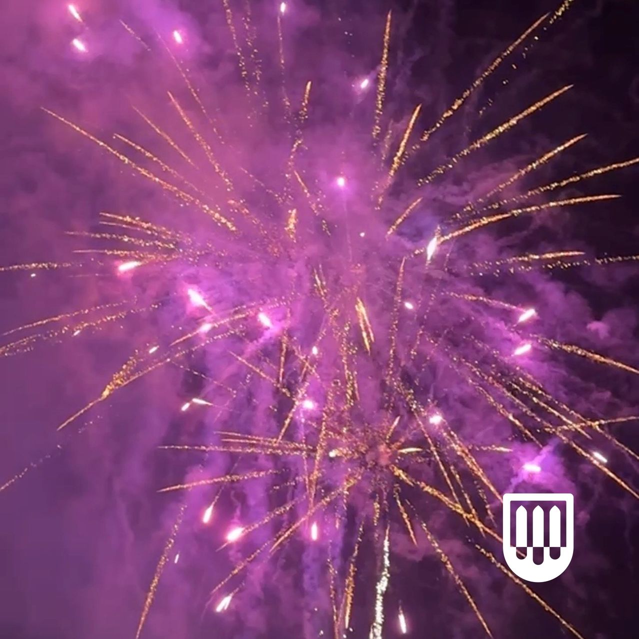 Ein leuchtendes Feuerwerk explodiert in der Nacht und erschafft ein wunderschönes Spektakel aus Lila und Gold. Das Feuerwerk setzt sich deutlich von dem dunklen Hintergrund ab und lässt seine strahlenden Farben hervortreten.