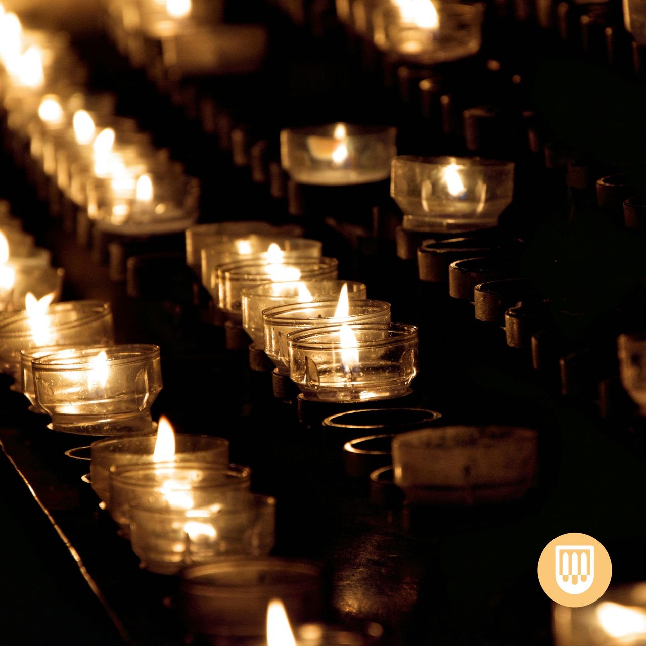 Many candles are lit in a row, with some of them slightly larger. They are placed on a dark surface, perhaps in a church. The candles are in glass cups and have a yellow flame.