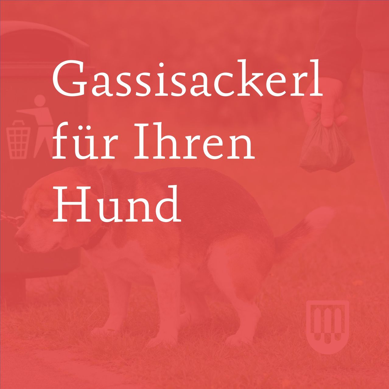 A beagle is holding a bag of dog waste and is about to put it in a trash can. The text reads Gassackerl fur Ihren Hund.