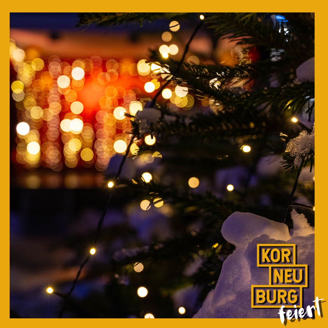 Bild enthält, Lighting, Plant, Tree, Fir, Christmas, Christmas Decorations, Festival