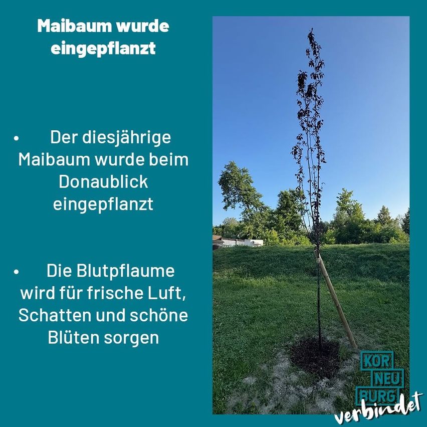 feed_image