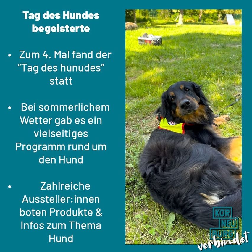 Eine Werbung für den vierten Tag des Hundes zeigt einen Hund, der auf Gras liegt, mit Text auf einem blauen Hintergrund. Der Text lautet 'Tag des Hundes begeisterte' und mehr.