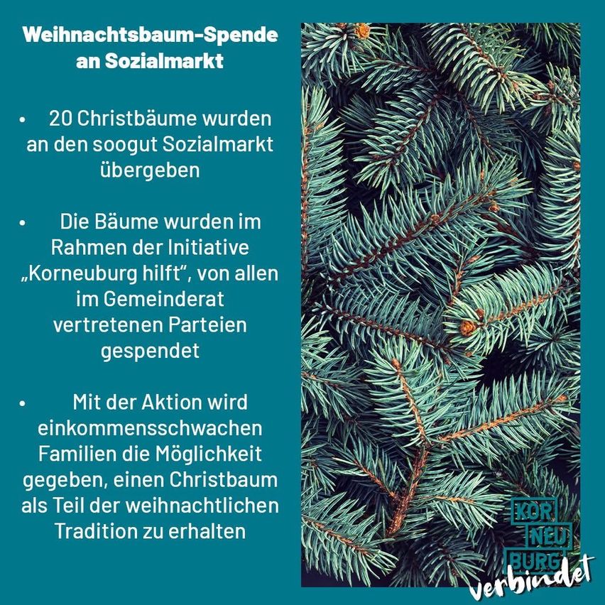 Poster mit Nahaufnahme von Tannennadeln und Text über eine Weihnachtsbaum-Spende von Sozialmarkt, Teil der Initiative 'Korneuburg hilft'. Es erwähnt 20 Bäume, gespendet von Parteien im Gemeinderat.