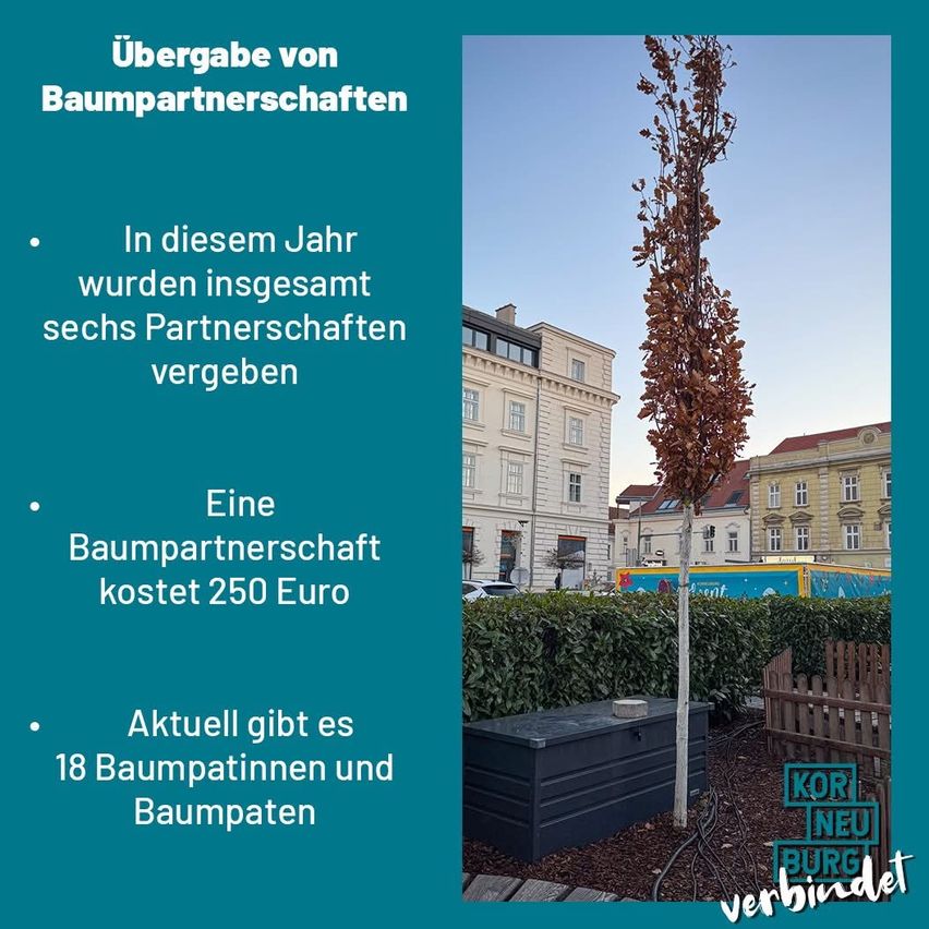 Das Bild zeigt einen Baum mit braunen Blättern in einem Garten neben einem weißen Gebäude. Der Text auf der linken Seite gibt an, dass sechs Partnerschaften vergeben werden, die jeweils 250 Euro kosten. Derzeit gibt es 18 Baumpartner und -patrone.