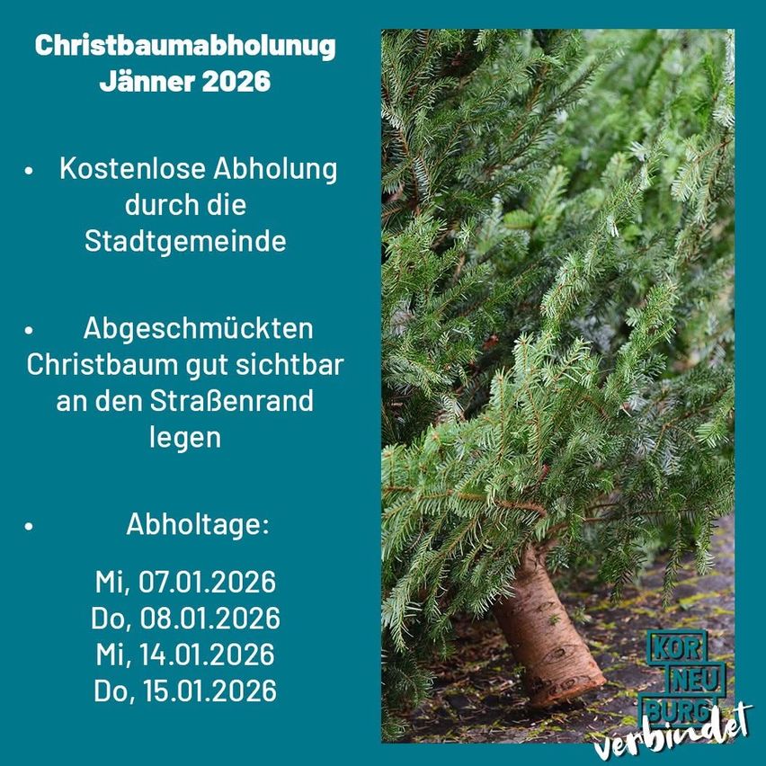 Eine Werbung für die kostenlose Abholung von Weihnachtsbäumen im Januar 2026. Bäume sind am Straßenrand sichtbar. Die Abholtermine werden angegeben.