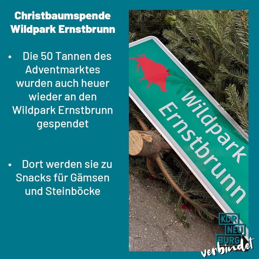 Ein grünes Schild mit der Aufschrift 'Wildpark Ernstbrunn' und einem roten Stier befindet sich neben einem Haufen Kiefernzweige. Der Text auf der linken Seite lautet 'Die 50 Tannen des Adventmarktes wurden auchheuer wieder an den Wildpark Ernstbrunn gespendet'. Das Logo unten rechts lautet 'KOR NEU BURG verbindet'.
